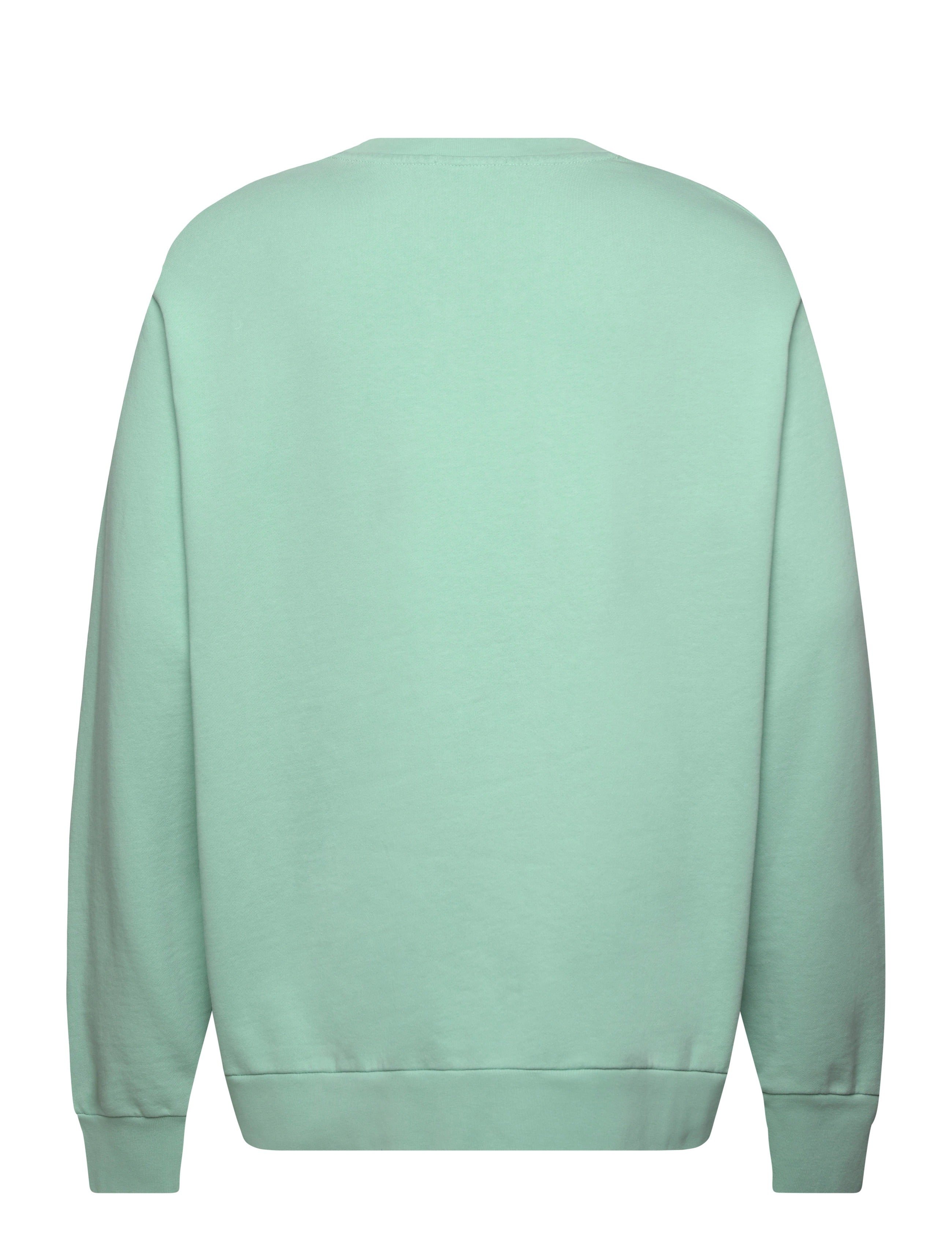 LSCNM1-LONG SLEEVE-SWEATSHIRT 012 CELADON