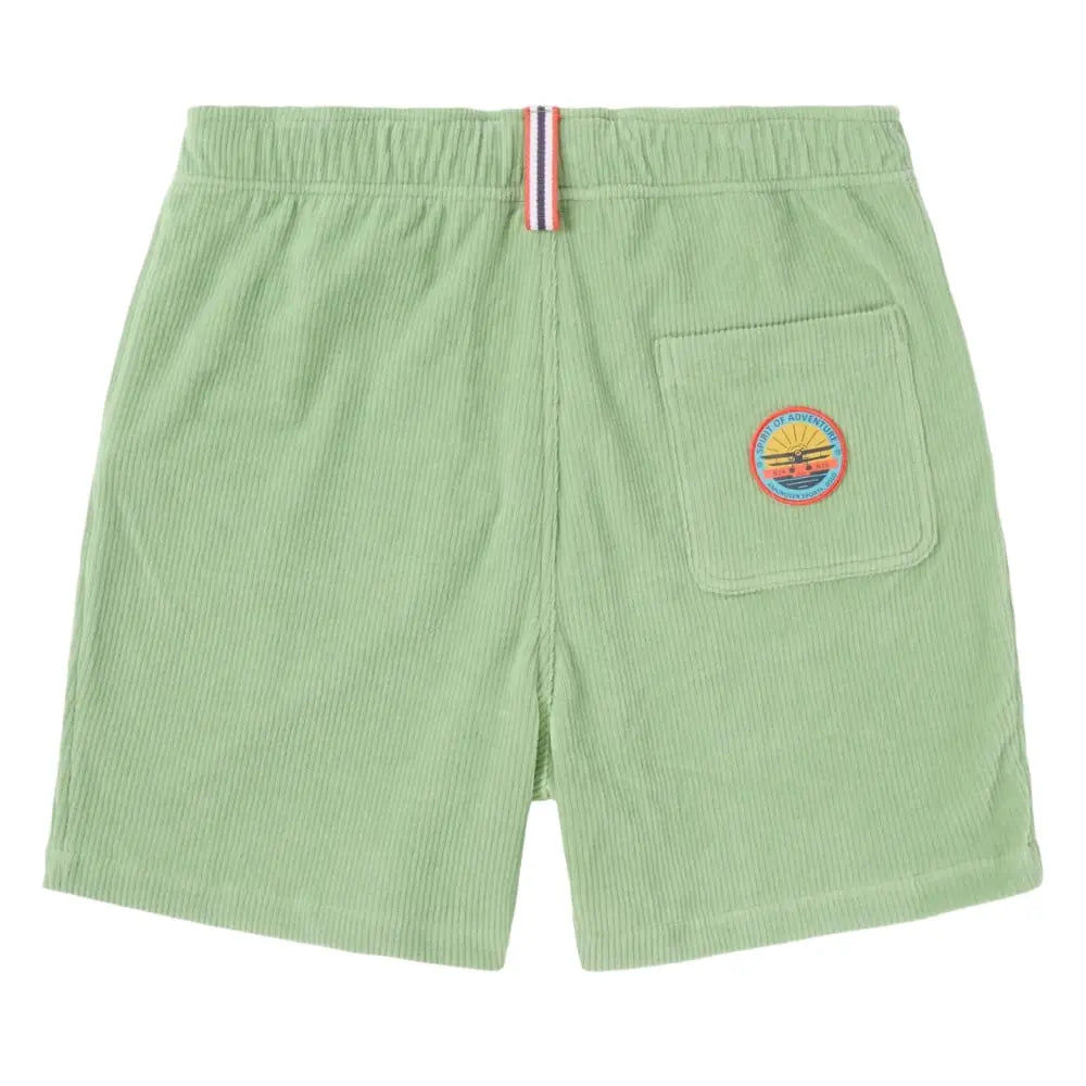 6 INCHER HIGHTIDE SHORTS MENS