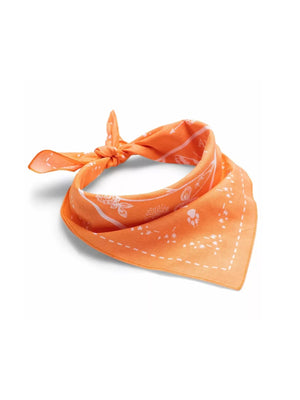 168 ORANGE SUNSET