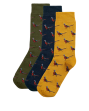 BARBOUR - PHEASANT GIFTSET SOCKS