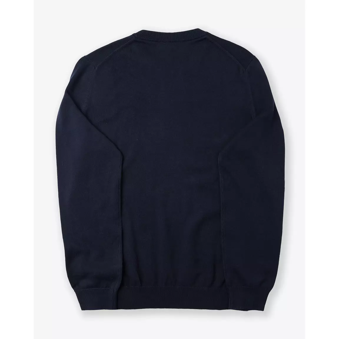 lacoste_sweater_blue_back.png