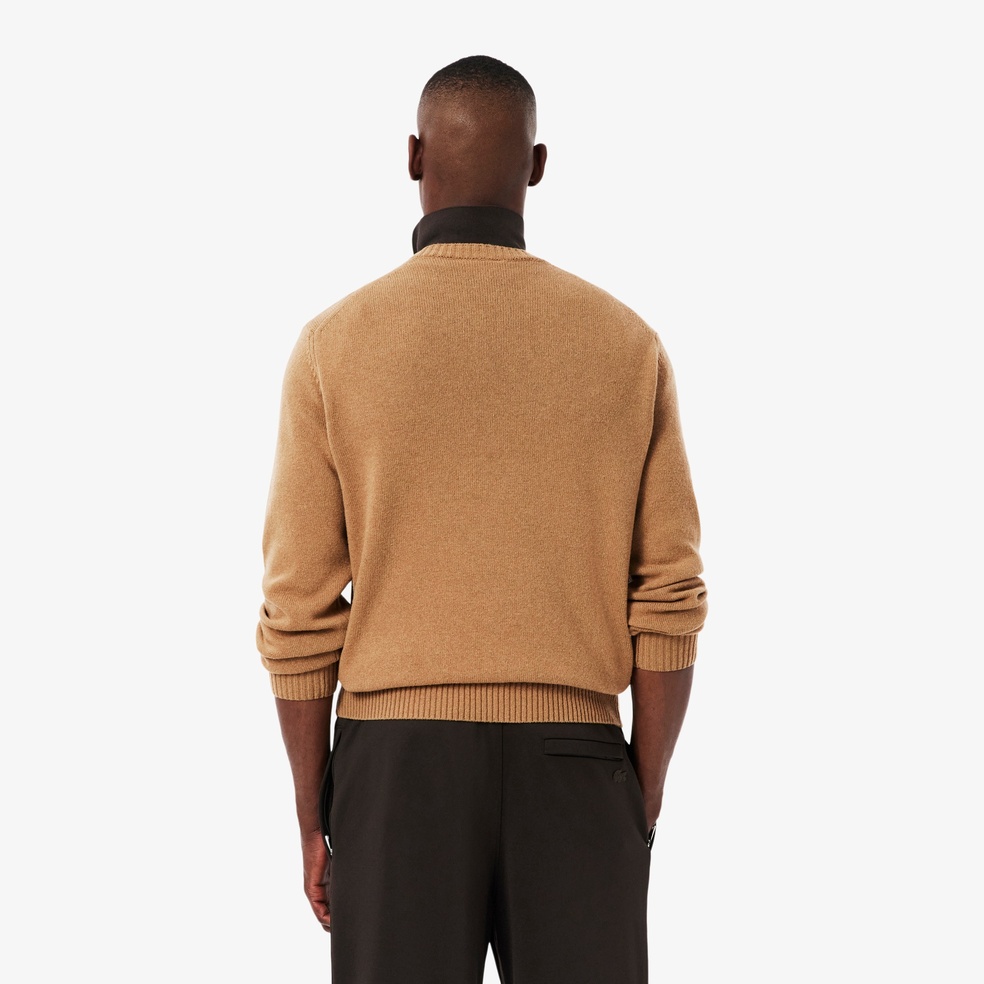 lacoste_sweater_brown_model_back_1.png