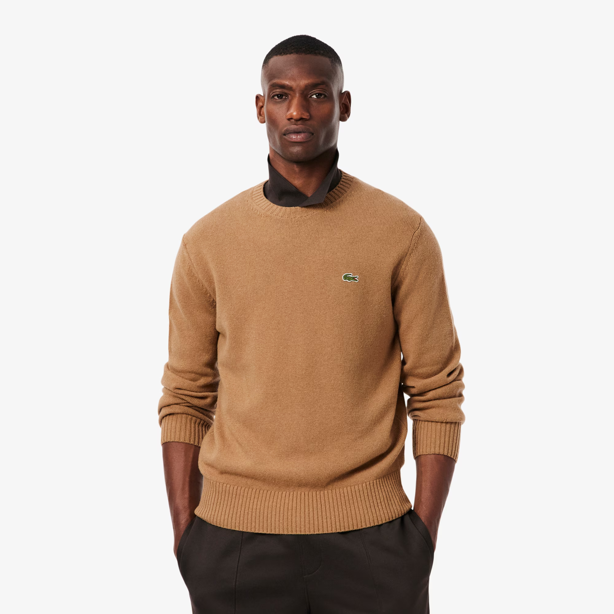 lacoste_sweater_brown_model_front_1.png